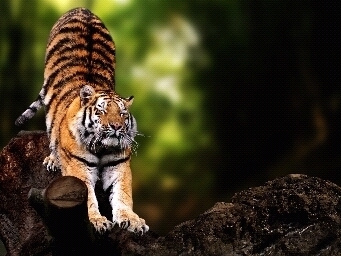What we think we become ~ Buddha