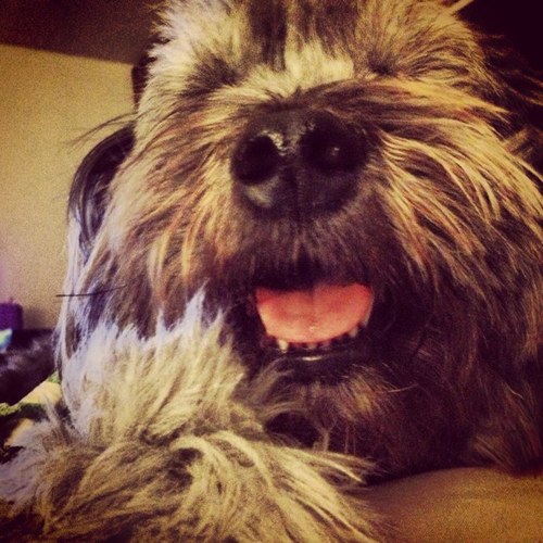 Fringe fan