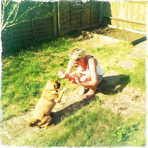 katejtw's profile picture. Work life = marketing manager for the Kennel Club Home life = friends, fun, visits home to yorkshire, cycling and walking the dog.