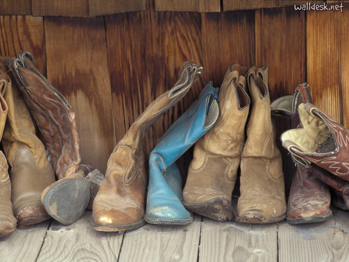 countrywiseword's profile picture. Just here to say what needs to be said. Country style.