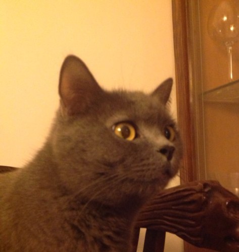 rossymig's profile picture. La vita e' troppo breve per mangiare e bere male! (Eataly) lasciando sempre un po' di spazio al Peter Pan che e' in noi ...