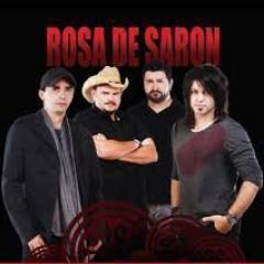 Rosa de Saron melhor do mundo! nada mais a dizer!!