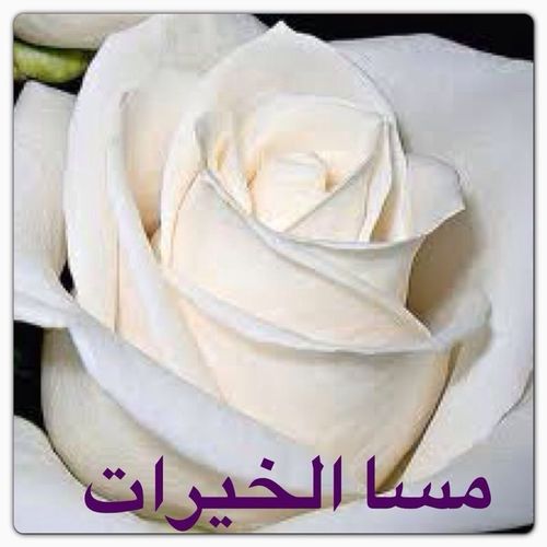 umm_7mmodi's profile picture. 