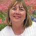 Elaine Byrne (@elaineaustintx) Twitter profile photo
