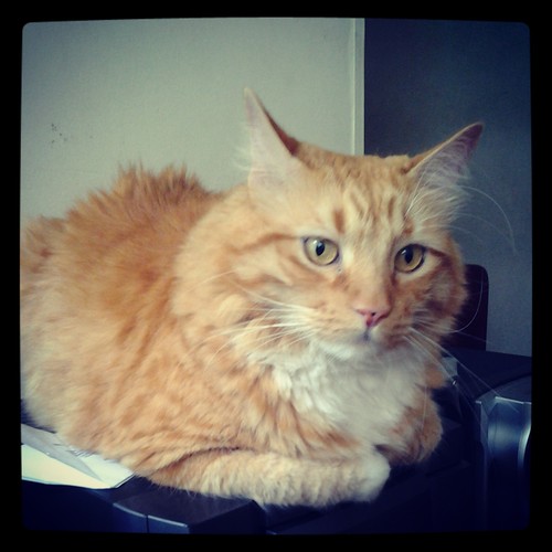 pedroza_lina's profile picture. 