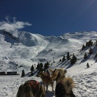 Rosa (@jyrs00) 's Twitter Profile Photo