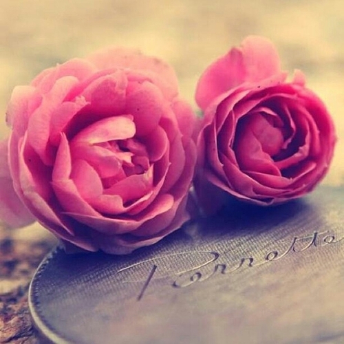 h_m_s93's profile picture. ‏‏لا اله الا الله