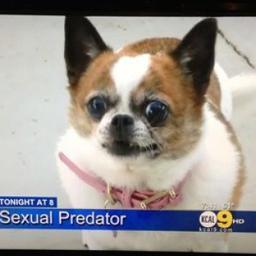 AgustinAgusto69's profile picture. lala lala lalalala