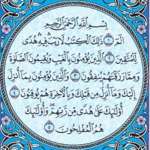 hhmm201011's profile picture. 