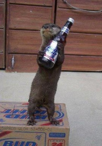 ElenaBonnie1739's profile picture. 