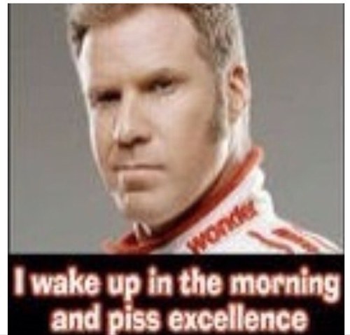 msnewboy1's profile picture. 