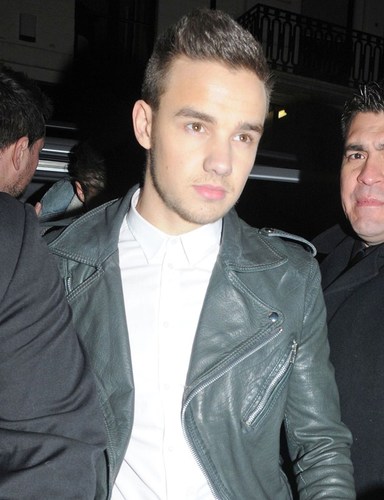 liamletsdo69's profile picture. follow @rock_me_zayn_ok instead of this account, thanks