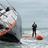 SailingPostureo's profile image