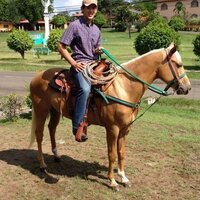 andres hun (@andres15410) 's Twitter Profile