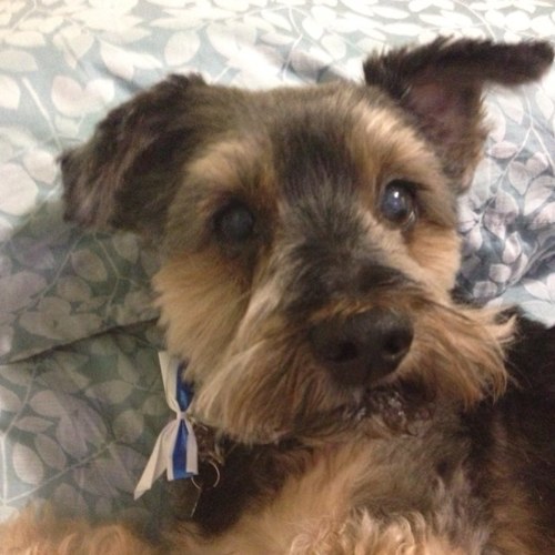 AmyEttie Profile Picture