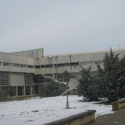 Jurista. Catedrática de Dret Mercantil UIB.