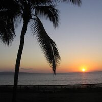 Investor (@joni898) 's Twitter Profile