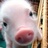 AnaVelca's profile image