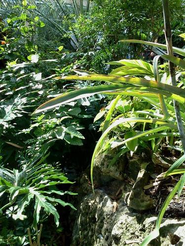 riverratonboard's profile picture. 