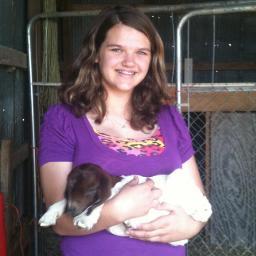 autumnstackman5's profile picture. I LOVE THE CARDINALS