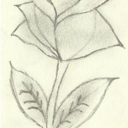 aced_ab's profile picture. Im a artist by hobby...going to delete this sometime...
 it's distraction from life ... boredom...(for the music stuff use soundcloud...i'll follow you there)