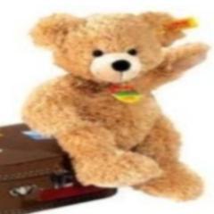 The Travelling Bear Karaoke Company provide a professional mobile karaoke and disco service, its fun and entertaining! Weddings, parties, corporate events......