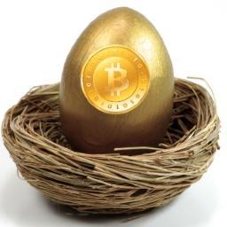 BitcoinGoose's profile picture. 