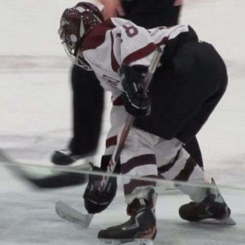 Hockey: The only sport that matters