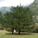 Jasmine Chao - @JasmineChao1104 - Twitter