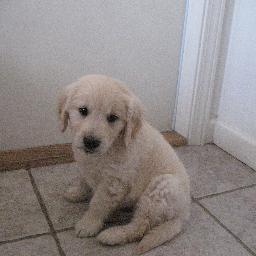 mgirl1212's profile picture. 