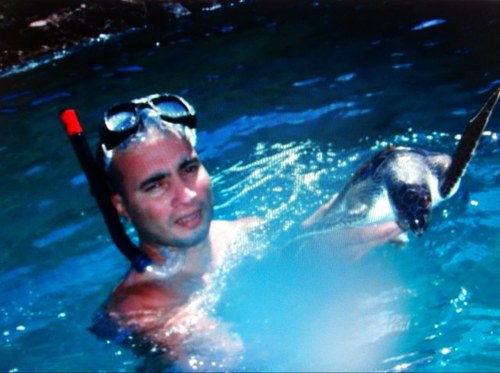 luis73m's profile picture. 