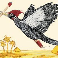 bluebirdjam (@bluebirdjam) 's Twitter Profile