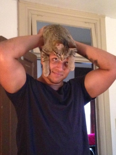 Ferguson42Alex's profile picture. 