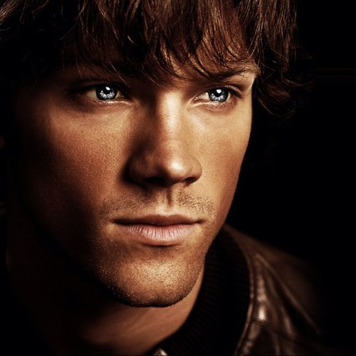 I'm not troubled, just misunderstood. |THG| Multi | [FC Jared Padalecki]