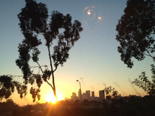 DayriSolana's profile picture. 