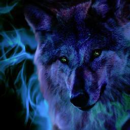 A wolf and wildlife advocacy and education organization