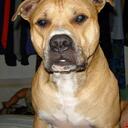 Nancy Dacus Bennett - @is_14975502910 - Twitter