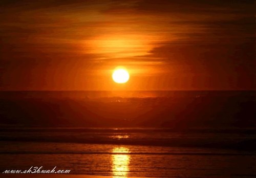 fofo2angel's profile picture. يجب على الانسان أن يكون صاحب أرادة قوية وطموح بلا حدود مهما كانت الظروف العاتية تعصف به بل يردد لن أستسلم ولن أنهزم