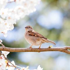 Archdev12's profile picture. Interested in movies, music, social media, etc.,