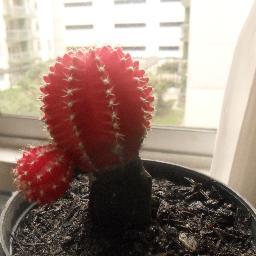 Hola :3