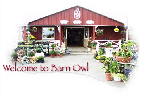 Barn Owl Garden Center a Gardener's Paradaise