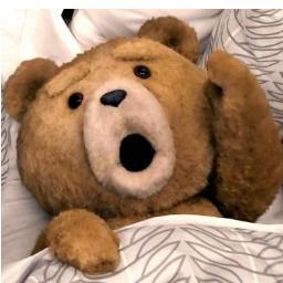 tedchapadobr's profile picture. Sou uma sátira do Urso mais louco do mundo