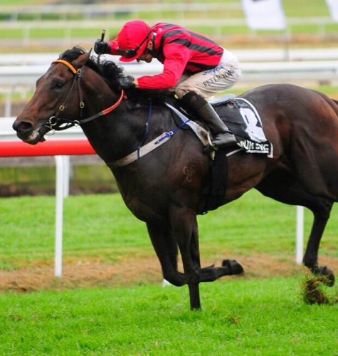 A Website to bring you the live racing results and information for Queensland Thoroughbreds.