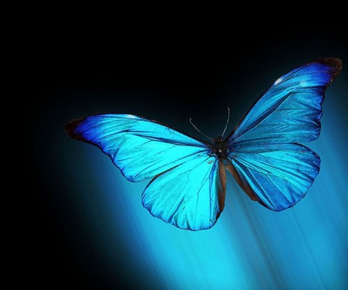 y_fahed's profile picture. 