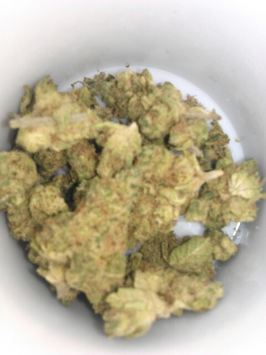 FadedInSD's profile picture. Staying faded in America's Finest city. #LovinLife. #GuyBelieber. #Gay Follow my fan account. @_SoCalbelieber