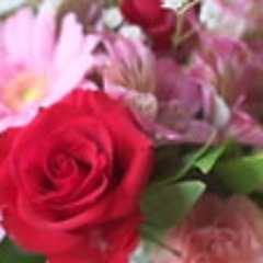 花ことば On Twitter チコリ 花言葉 節約