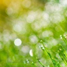 imHamakoHamako's profile picture. 