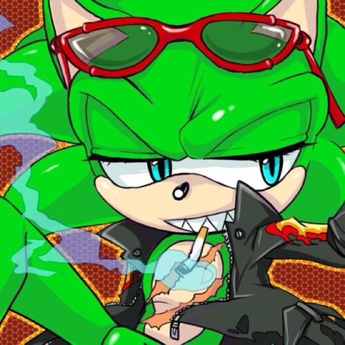 Me? *smirks* 'Name's Scourge the Hedgehog. I'm just the better looking and more powerful version of @quickhedgehog10! Taken by @hell_angels14