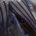 gracie mays - @GracieMays - Twitter