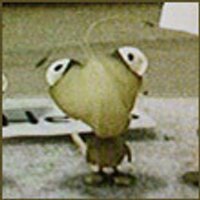 uchoPerdu (@uchoperdu) 's Twitter Profile